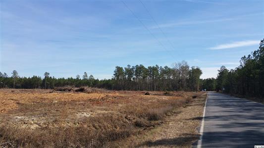 Elonia Rd., Marion County, SC, Elonia Road, SC