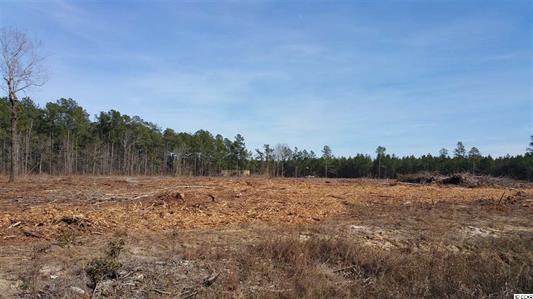 Elonia Rd., Marion County, SC, Elonia Road, SC