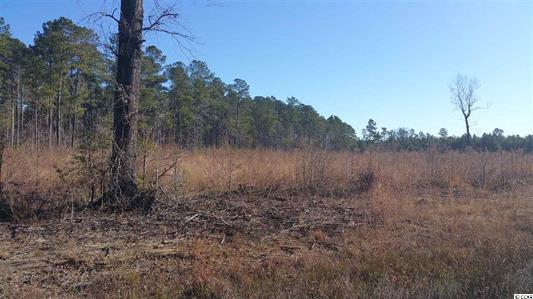Elonia Rd., Marion County, SC, Elonia Road, SC
