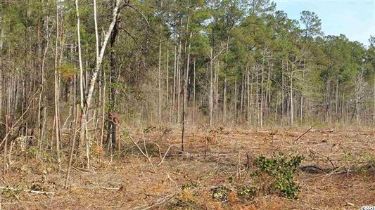 Elonia Rd., Marion County, SC, Elonia Road, SC