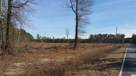 Elonia Rd., Marion County, SC, Elonia Road, SC