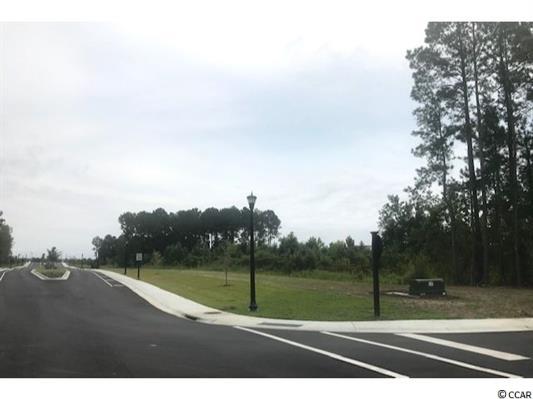 TBD George Bishop Pkwy, George Bishop Parkway, Myrtle Beach, SC
