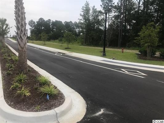TBD George Bishop Pkwy, George Bishop Parkway, Myrtle Beach, SC