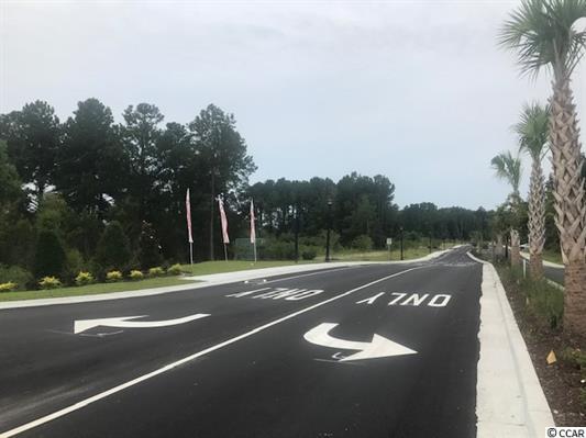 TBD George Bishop Pkwy, George Bishop Parkway, Myrtle Beach, SC