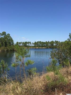 301 Acres Hwy 501 (Holmes Tract), 501 Off Highway, Myrtle Beach, SC 29579