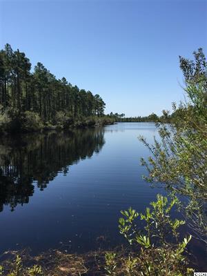 301 Acres Hwy 501 (Holmes Tract), 501 Off Highway, Myrtle Beach, SC 29579