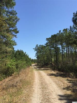 301 Acres Hwy 501 (Holmes Tract), 501 Off Highway, Myrtle Beach, SC 29579