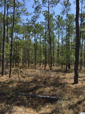 301 Acres Hwy 501 (Holmes Tract), 501 Off Highway, Myrtle Beach, SC 29579