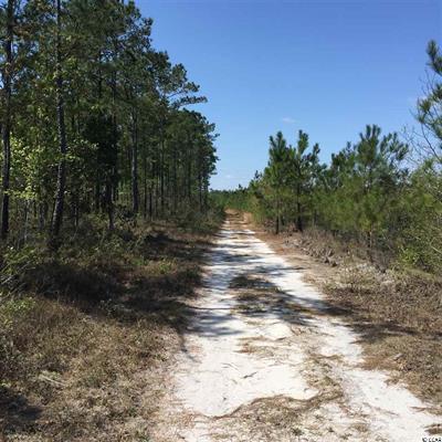 301 Acres Hwy 501 (Holmes Tract), 501 Off Highway, Myrtle Beach, SC 29579