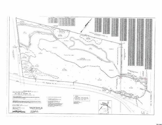 301 Acres Hwy 501 (Holmes Tract), 501 Off Highway, Myrtle Beach, SC 29579