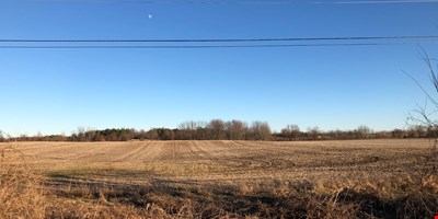 Lansing Mi - Grove Rd 30 Acres 