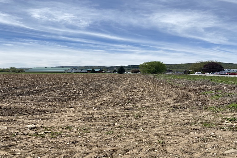 Development Site