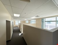 Prairie Falcon (origin Business Park) photo 2