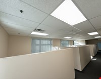 Prairie Falcon (origin Business Park) photo 3