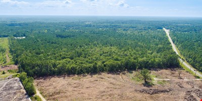 Hwy 80 & 280 Blitchon — Sale in Black Creek, GA, photo 5 of 8