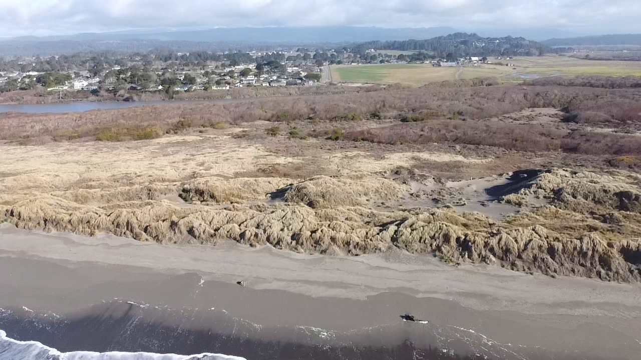 Vacant Land (10+ Acres) in McKinleyville