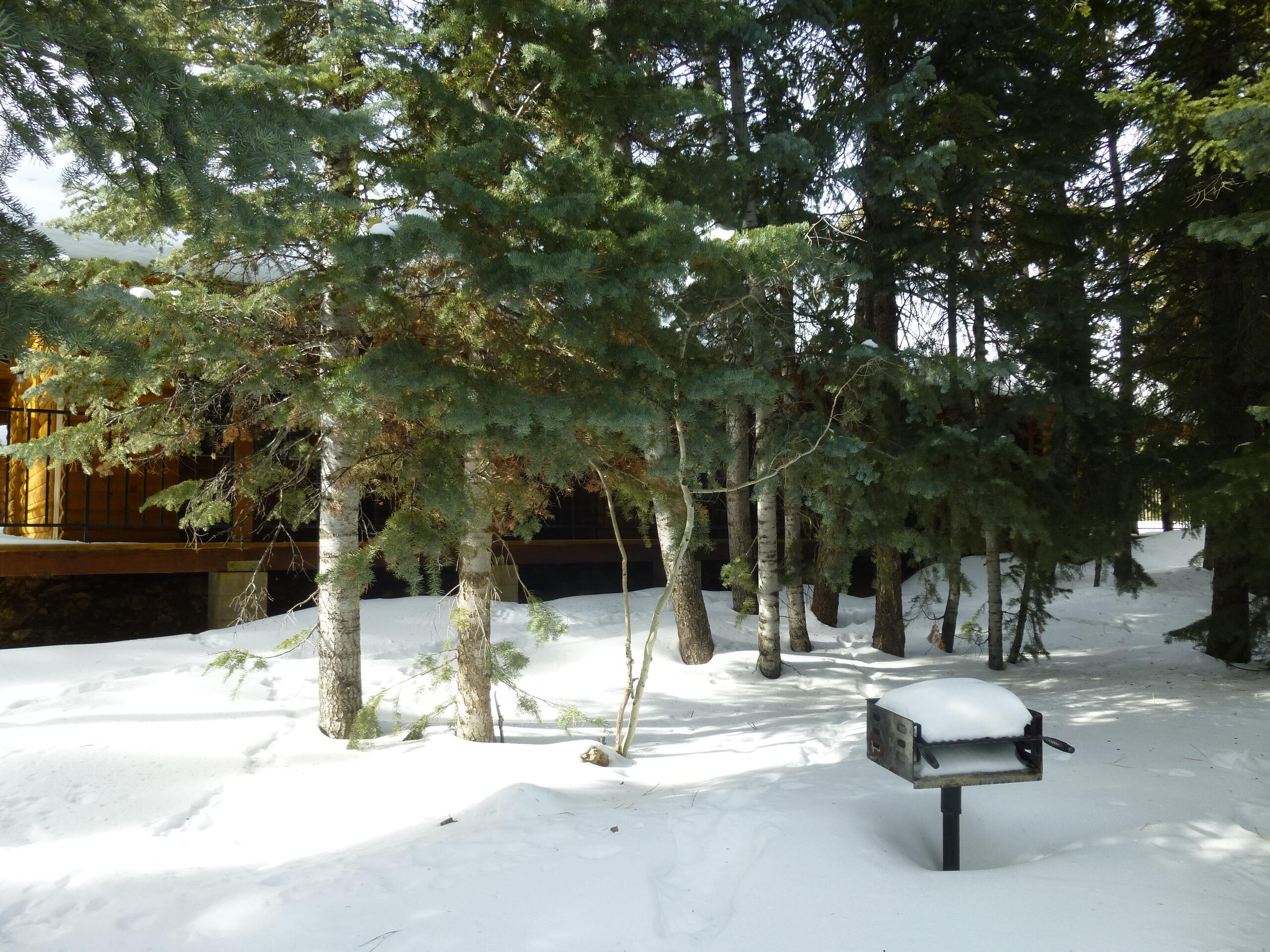 Commercial-Other in Duck Creek