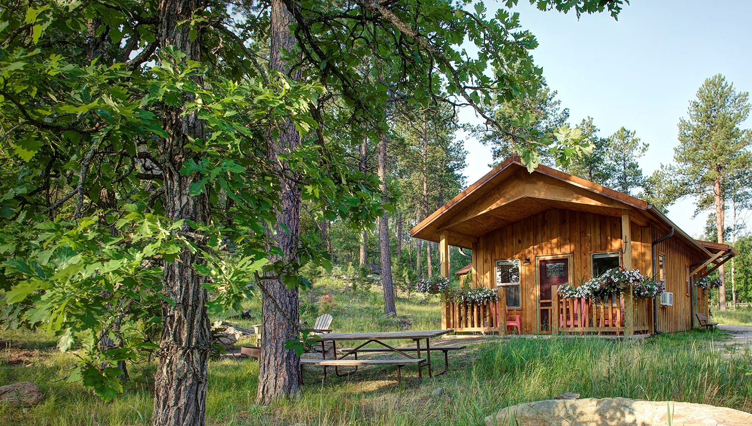 Yak Ridge Cabin Resort FOR SALE on 24041 Cosmos Road,