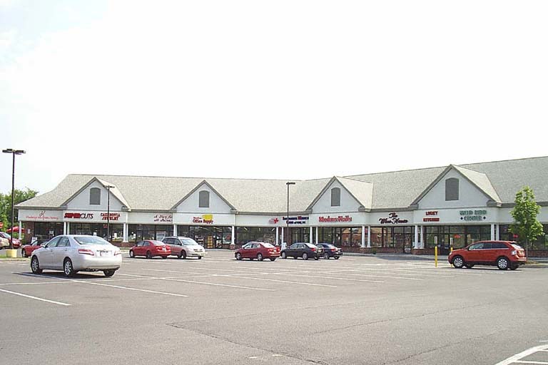 Manlius Commons