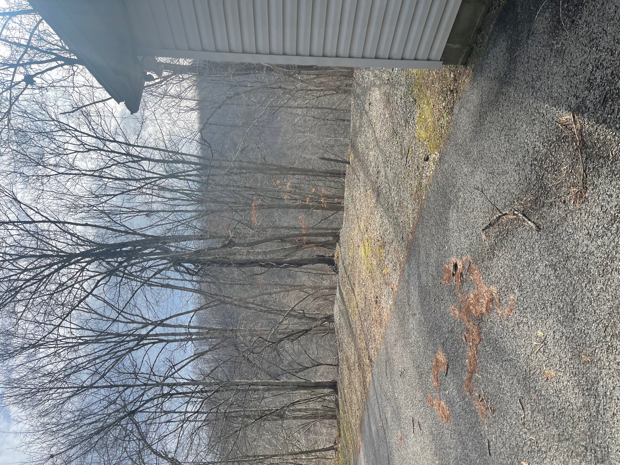 Multi-Family in Elkins