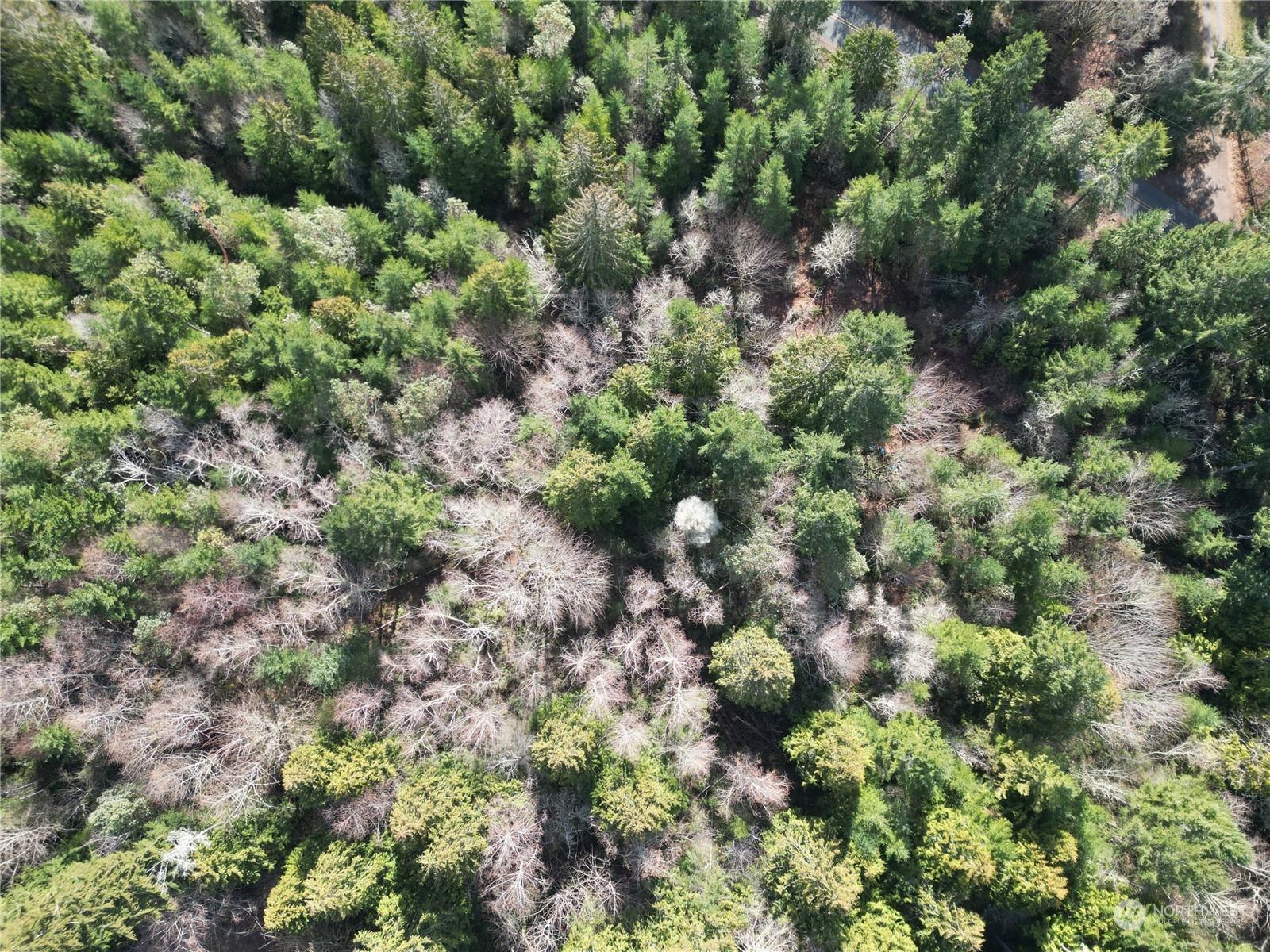 Land -Single Family Acreage in LONGBRANCH