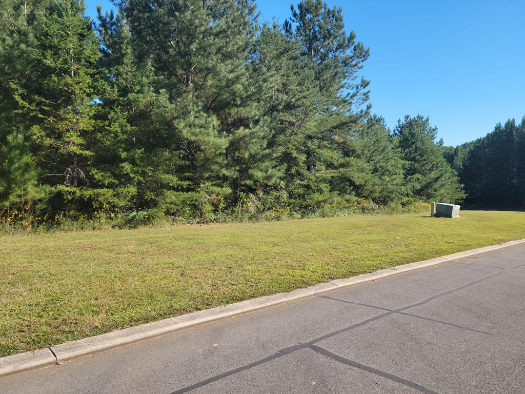 Land -Single Family Acreage in Ocoee