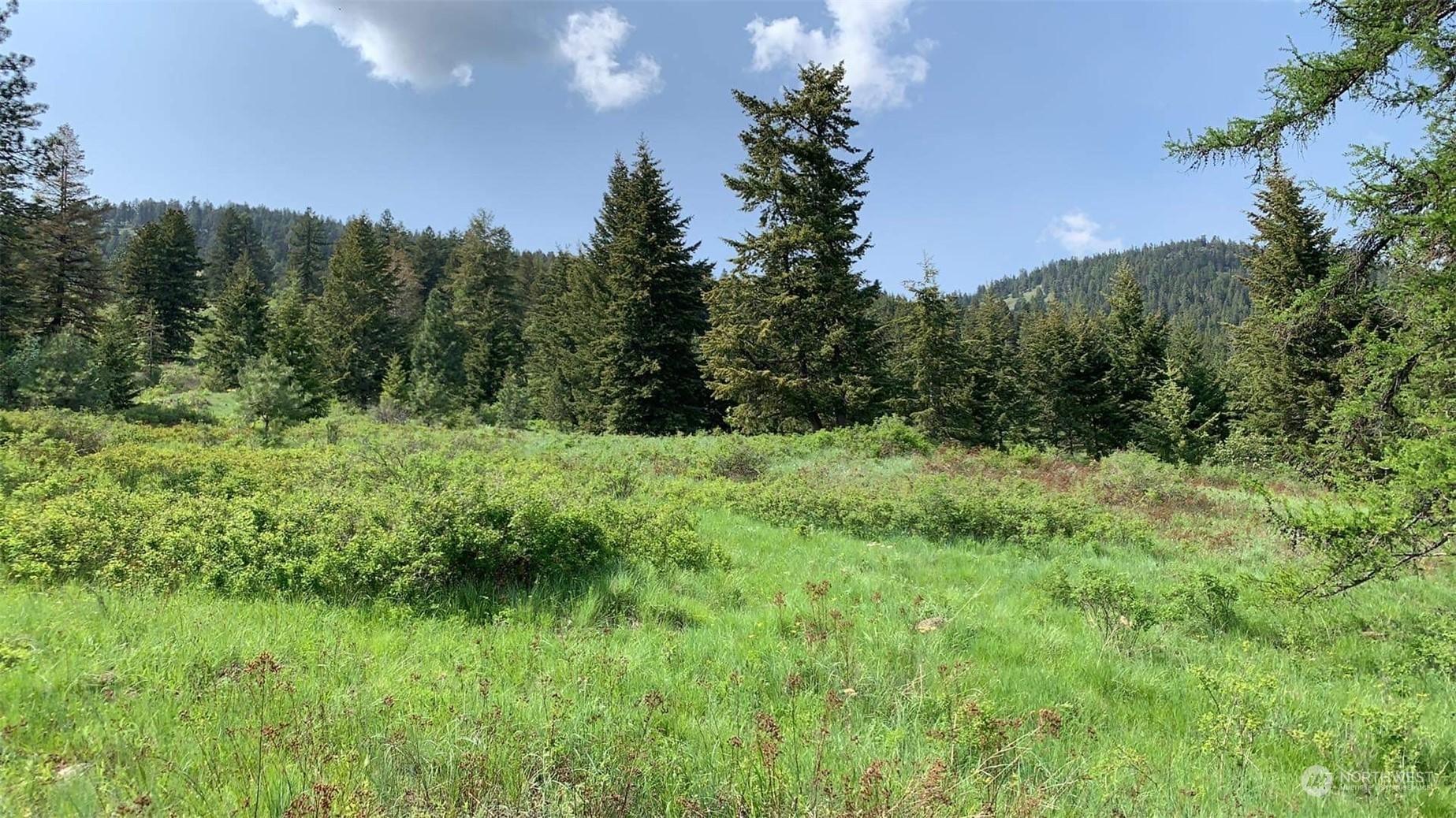 Land -Single Family Acreage in CURLEW