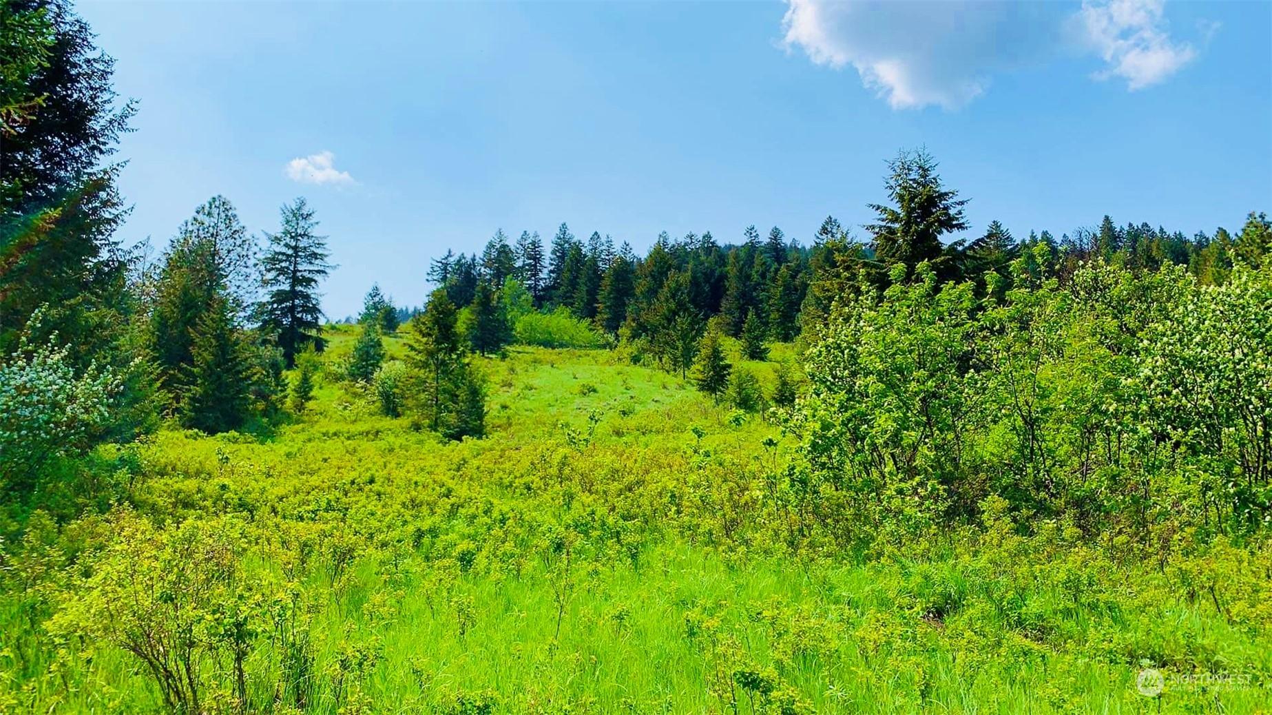 Land -Single Family Acreage in CURLEW